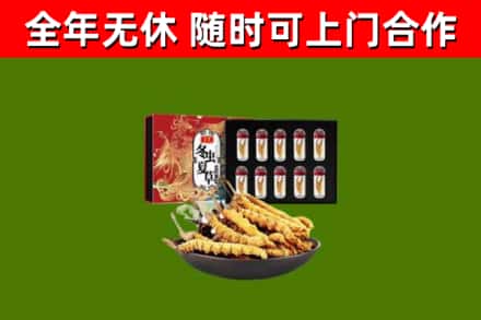 浙江省回收冬虫夏草价格